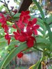 2004_01_02 002 Small.jpg