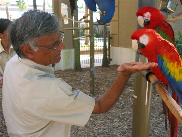 2005_12_24_003 (Small).JPG