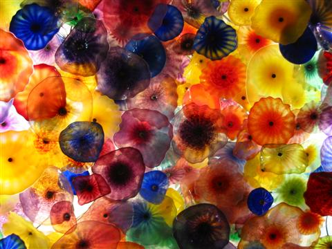 2004_08_13 007 (Custom).jpg