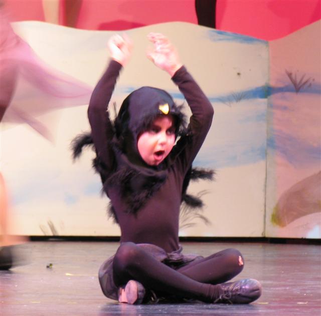 03 05 2005_10_22_7pm_0007 Cropped (Small).jpg